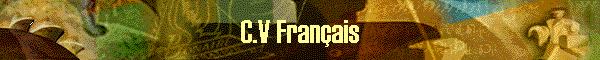 C.V Fran�ais